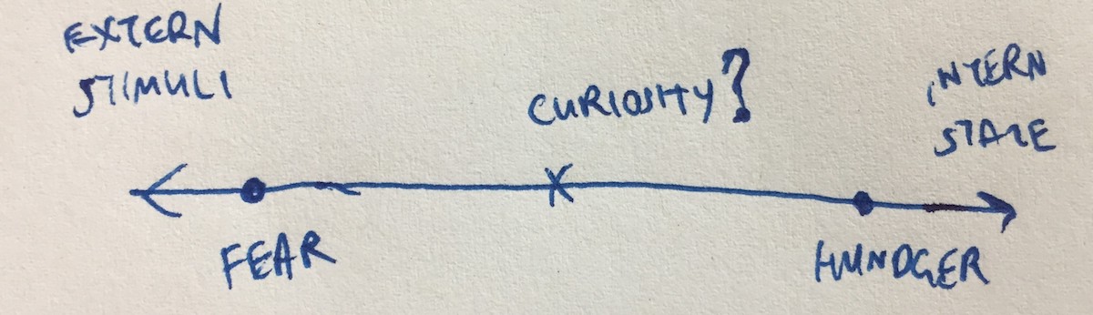 Intrinsic vs. extrinsic curiosity.