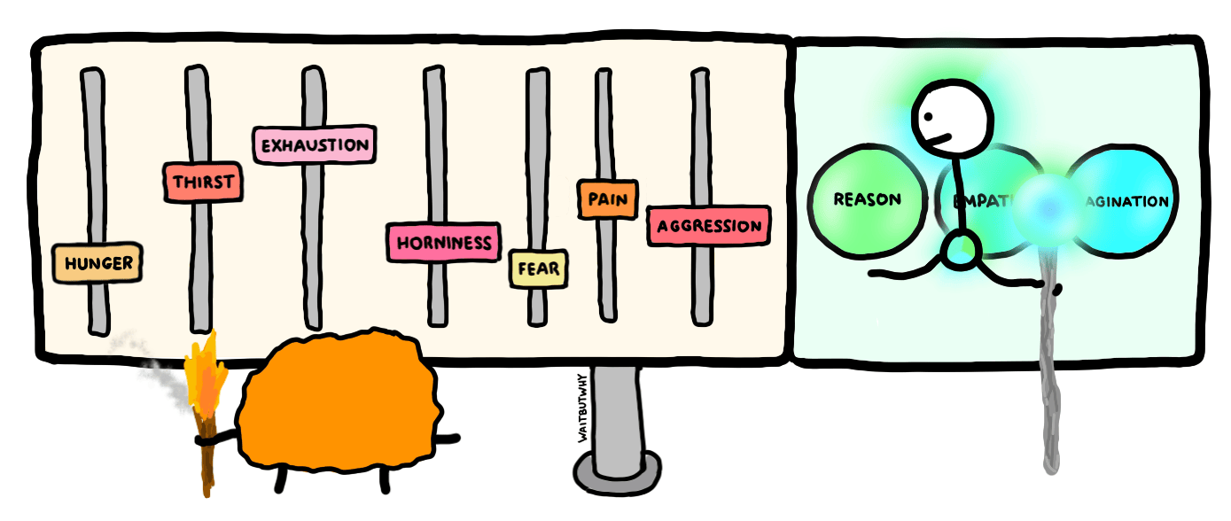 Thought spectrum