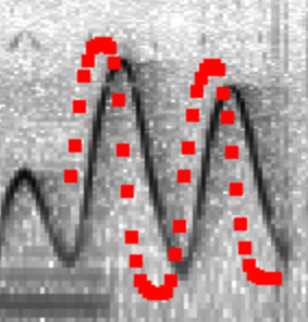 Latency estimation